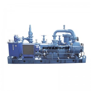 Multiphase Pump