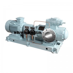 Screw Pump Curve